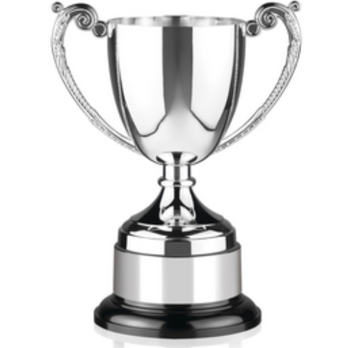 Endurance Award | Bakelite Base | 305mm