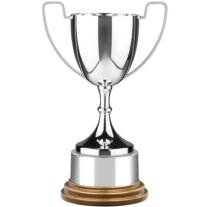 Endurance Award | Gold finish Base | 356mm