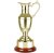 Endurance Gold Finish Jug Award | Rosewood Base | 216mm - WCG29A