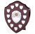 Swatkins Perpetual Shield Award - 12 Side Shields | 254mm - BPS10