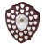 Perpetual Shield Award - 28 Side Shields | 305mm - BPS28/12