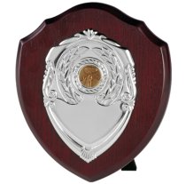 Shield Award | 102mm