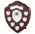 Swatkins Perpetual Shield Award - Scroll & 7 Side Shields | 254mm - SV10
