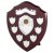 Swatkins Perpetual Shield Award - Scroll & 7 Side Shields | 254mm - SV10