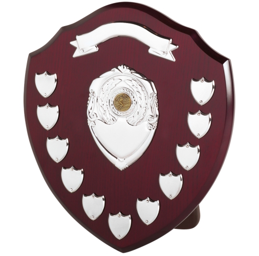 Perpetual Shield Award - Scroll & 11 Side Shields | 356mm