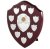 Swatkins Perpetual Shield Award - 10 Side Shields | 254mm - SVP10