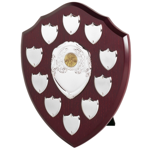 Swatkins Perpetual Shield Award - 10 Side Shields | 254mm