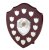 Perpetual Shield Award - 12 Side Shields | 305mm - SVP12