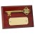 Gold Finish Key Plaque Award | 7