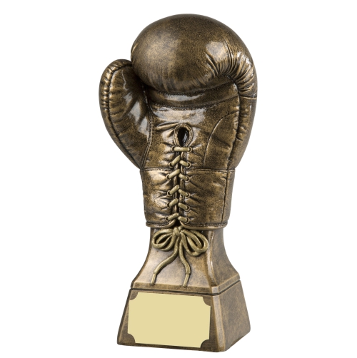 Gold Boxing Glove Trophy | 159mm