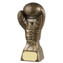 Gold Boxing Glove Trophy | 229mm
