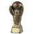 Gold Boxing Glove Trophy | 229mm - RR050B