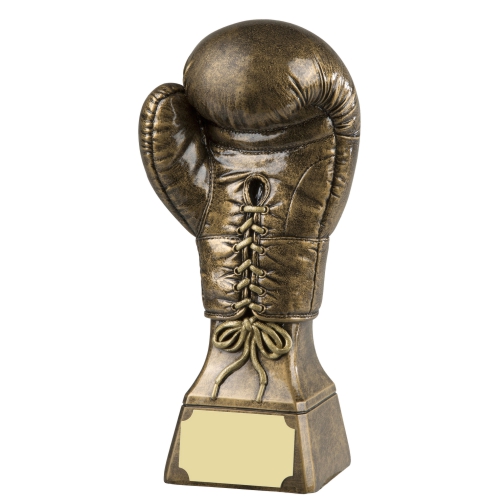 Gold Boxing Glove Trophy | 229mm