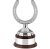 Swatkins Silver Plated Horse Shoe Award Complete | Mahogany Base | 381mm - SHSA01