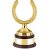 Swatkins Gold Plated Horse Shoe Award Complete | Mahogany Base | 381mm - GHSA01