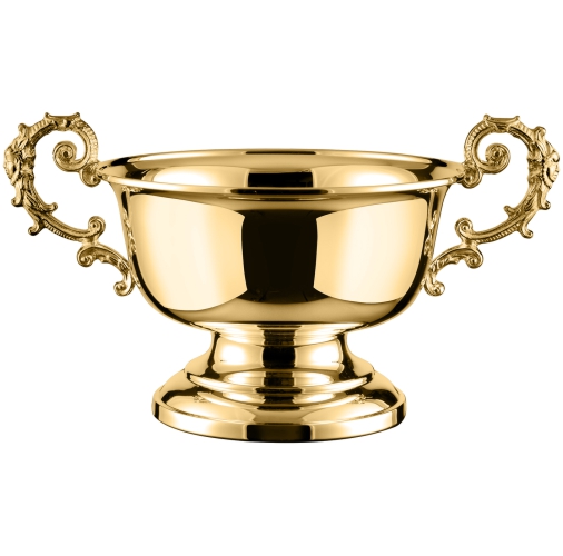 Swatkins Equine Bowl Gold Plated Cup | 165mm