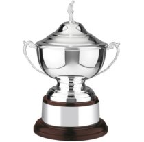 Swatkins Golfing Challege Bowl Complete | Mahogany Base | 210mm
