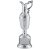 St Andrews Golf Claret Award | 318mm - ESRS88D