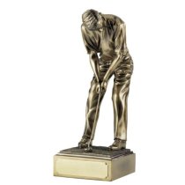 The Champion Award | 387mm