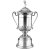 Swatkins Congressional HC Cup Complete | Silver plated Base | 514mm - HCSG004