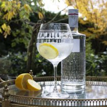 Royal Scot Nouveau | Copa Gin Glass | Gift Box