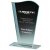 Wave Jade Glass Trophy | 205mm | 5mm Thick - T4076