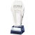 Crystal Trophy with Blue Tint | 190mm - T3998