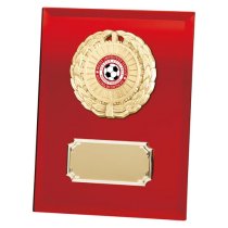 Mirage Multi-Sport Mirror Plaque | Red | 180mm
