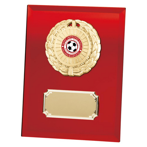 Mirage Multi-Sport Mirror Plaque | Red | 180mm