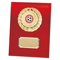 Mirage Multi-Sport Mirror Plaque | Red | 200mm