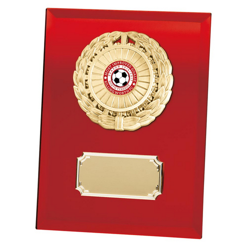 Mirage Multi-Sport Mirror Plaque | Red | 200mm