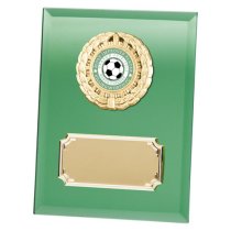 Mirage Multi-Sport Mirror Plaque | Green | 150mm