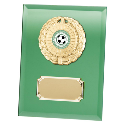 Mirage Multi-Sport Mirror Plaque | Green | 180mm