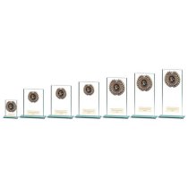 Warrior Multisport Jade Glass Trophy | 80mm