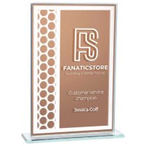 Titanium Mirrored Glass Award | Bronze | 160mm