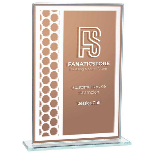 Titanium Mirrored Glass Award | Bronze | 180mm