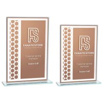 Titanium Mirrored Glass Award | Bronze | 180mm