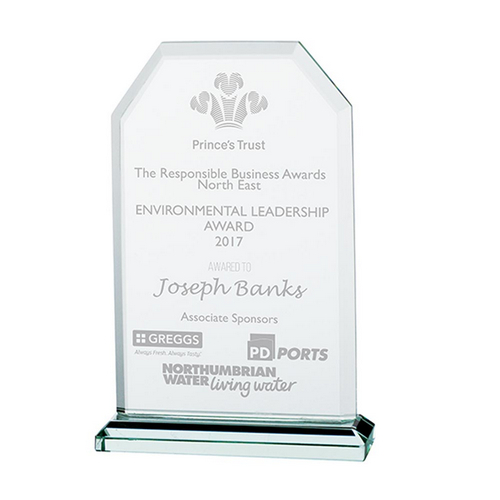 Executive Jade Glass Award | 135mm