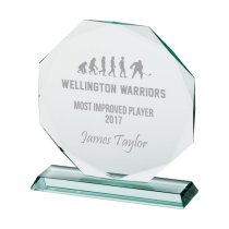 Jade Recognition Glass Award | 165mm