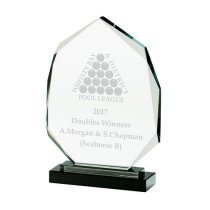 Clarity Optical Crystal Award | 230mm