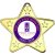 Personalised Star Shaped Medal | Gold | 50mm - M10G.PC