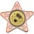 Badminton Star Shaped Medal | Bronze | 50mm - M10BZ.BADMINTON