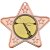 Clay Pigeon Star Shaped Medal | Bronze | 50mm - M10BZ.CLAYSHOOT