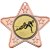 Rugby Star Shaped Medal | Bronze | 50mm - M10BZ.RUGBY