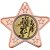 Running Star Shaped Medal | Bronze | 50mm - M10BZ.RUNNING