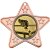 Snooker Star Shaped Medal | Bronze | 50mm - M10BZ.SNOOKER