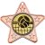Volleyball Star Shaped Medal | Bronze | 50mm - M10BZ.VOLLEYBALL