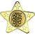 Darts Star Shaped Medal | Gold | 50mm - M10G.DARTS