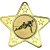 Rugby Star Shaped Medal | Gold | 50mm - M10G.RUGBY
