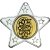 Darts Star Shaped Medal | Silver | 50mm - M10S.DARTS